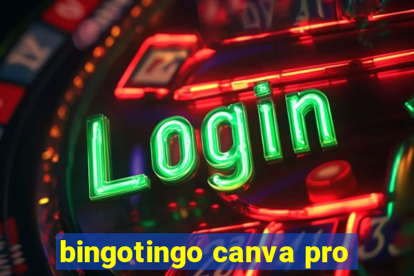 bingotingo canva pro